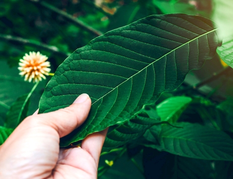 GettyImages-1080534430